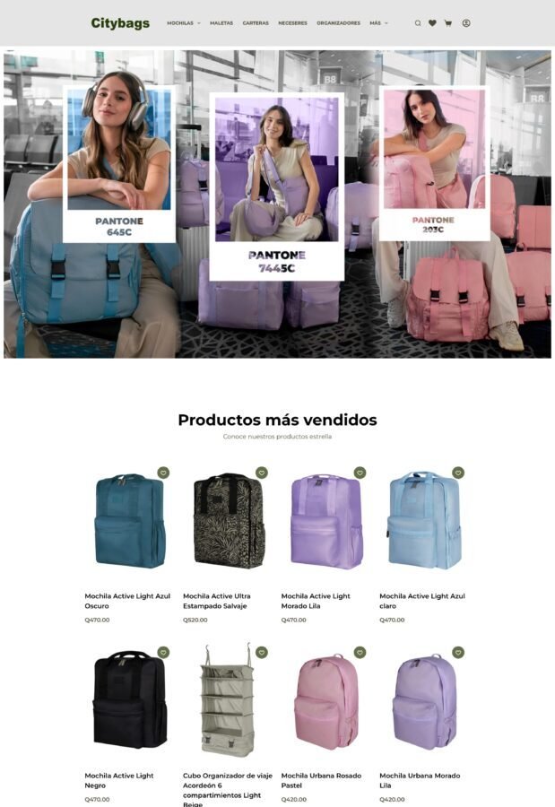 Tienda en línea de CityBags en escritorio
