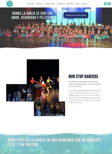 Sitio web de Non Stop Dancers en computadora