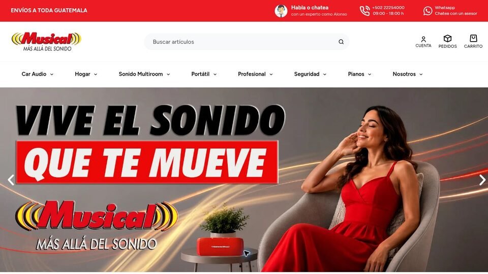 Tienda en línea de Musical en computadora